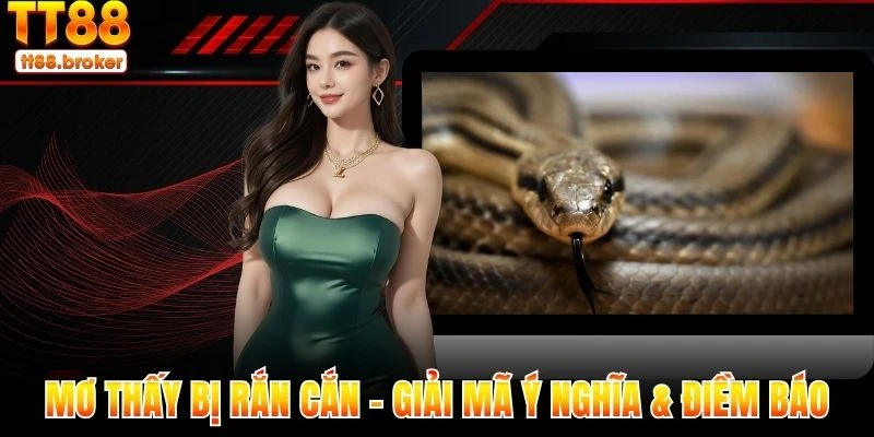 mơ thấy bị rắn cắn - giải mã ý nghĩa và những điềm báo