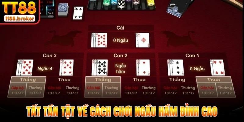 cách chơi ngầu hầm